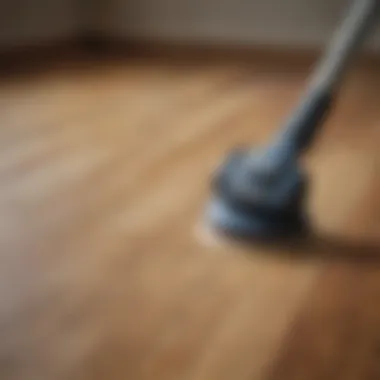 Close-up of sanding equipment used in the hardwood refinishing procedure.