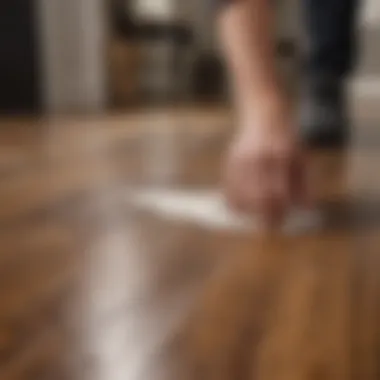 Applying wax remover on hardwood surface