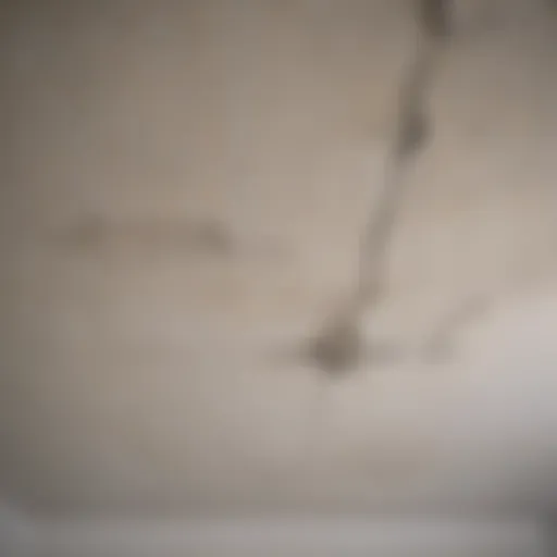 Close-up of a sheetrock ceiling crack