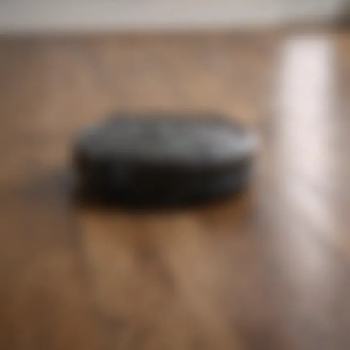 Efficient Robot Vacuum Cleaning Hardwood Floors