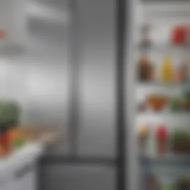 Sparkling clean refrigerator after eco-friendly cleaning