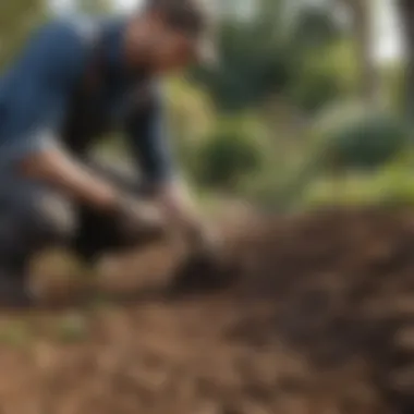 Gardener assessing soil health before deciding to dethatch