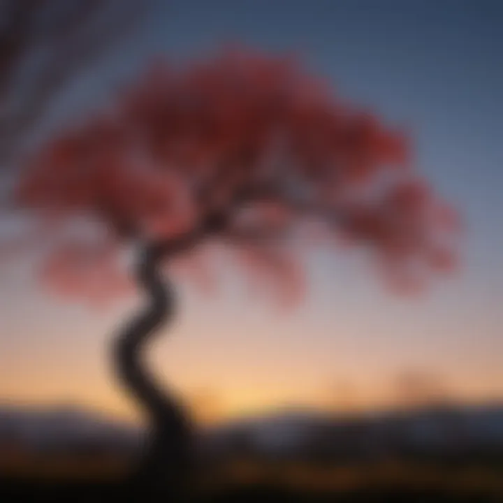 Pruning Technique for Japanese Red Maple Tree - Pruned Tree Silhouette at Dusk