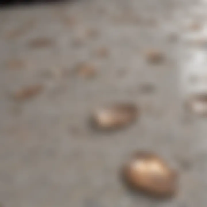 Close-up of Stain Resistant Quartz Countertop Texture