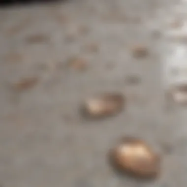 Exquisite Quartz Surface Detail Close-up of Stain Resistant Quartz Countertop Texture