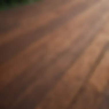 Well-stained wooden deck showcasing rich color and texture