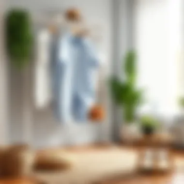 Strategies for Eliminating Bad Odors in Clothing Summary Strategies for Eliminating Bad Odors in Clothing Summary
