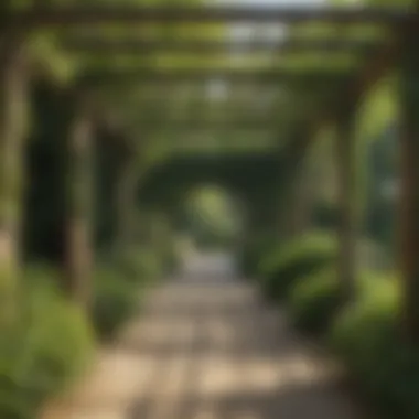 Thatched Pergola with Verdant Vines