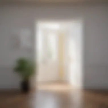 Color psychology concept illustrated with a white door