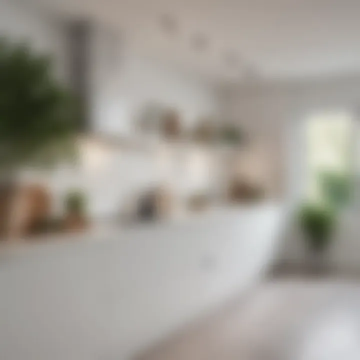 Stylish white kitchen accentuated with minimalist decor and greenery.