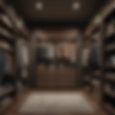 Innovative Materials for an Appealing Closet A visually appealing closet with a mix of materials and innovative designs