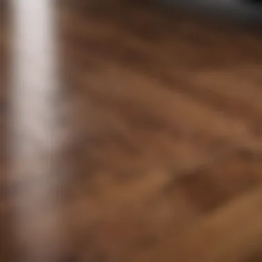 Close-up of hardwood floor finish showcasing its grain and shine