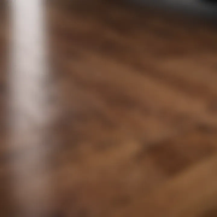 Close-up of hardwood floor finish showcasing its grain and shine