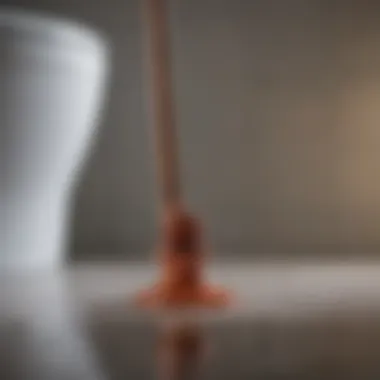 Effective Toilet Plunger for Unclogging Toilet plunger with suction cup