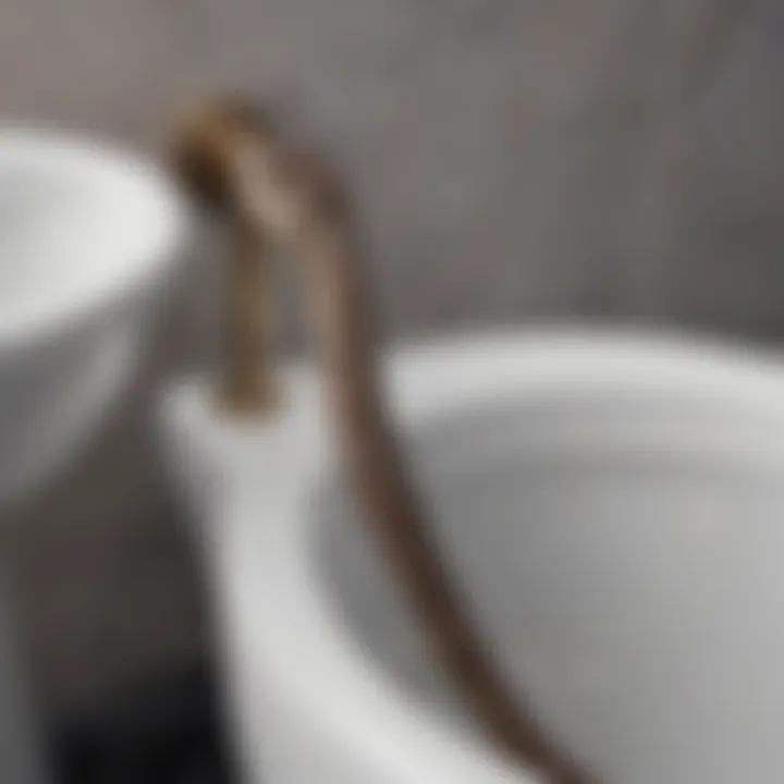 Illustration demonstrating a toilet snake tool