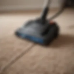 Modern bagless vacuum cleaner on plush carpet