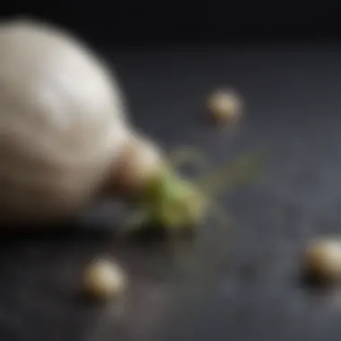 Close-up of garlic cloves