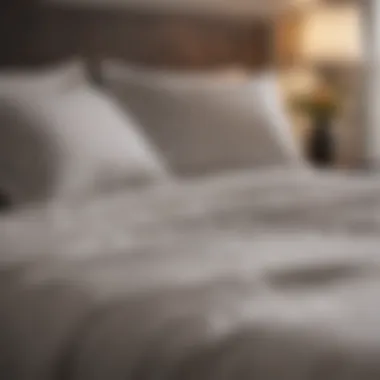 Luxurious Thread Count Bedding Luxurious Thread Count Bedding