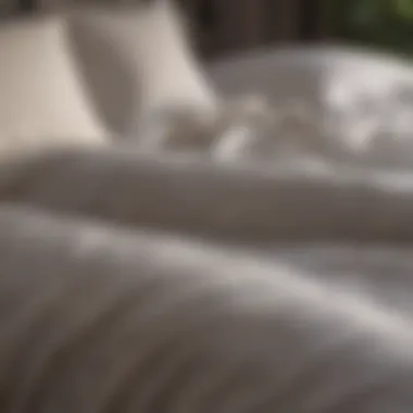 Thread Count Myths Debunked Thread Count Myths Debunked