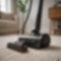 Elegant vacuum cleaner with advanced brush technology