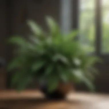 The Beauty of Healthy Foliage Healthy plant with vibrant green leaves