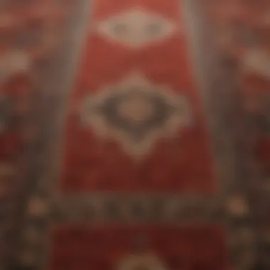 Exploring Luxurious Carpet Options Luxurious carpet options showcasing different textures and colors