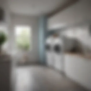 A modern laundry room layout showcasing efficient design.