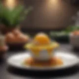 Eggstravagant Gastronomy