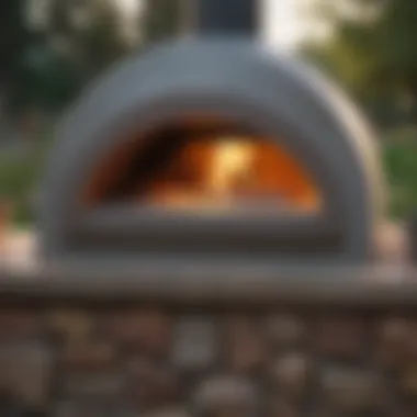 Versatile Outdoor Pizza Oven Design