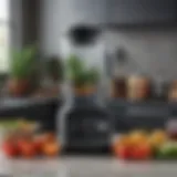 Sleek Vitamix Elegance Blender