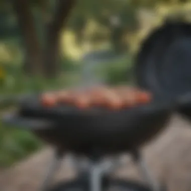 Weber Grill Features Overview